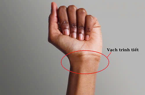 mất trinh ở nam giới là gì theo vạch trinh tiết